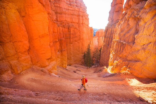 Hike in Bryce