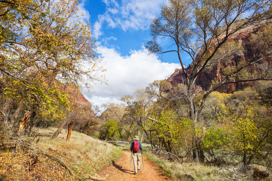 Hike in Zion