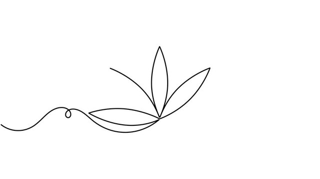 Modern lotus flower icon sign continuous one line drawing on white background minimalist single art collection of healthy wellness serenity symbol animation video