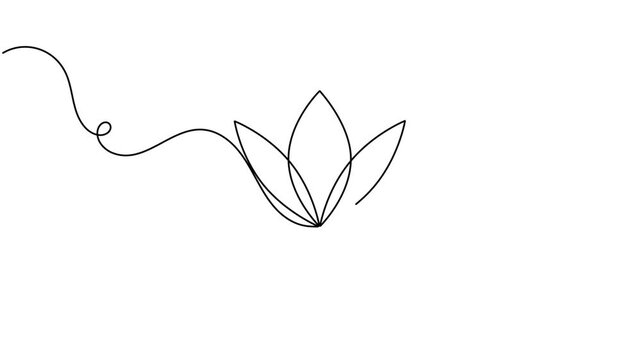 Modern lotus flower icon sign continuous one line drawing on white background minimalist single art collection of healthy wellness serenity symbol animation video