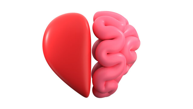 3D heart and brain fusion concept, red heart and pink brain halves joined together, emotional and rational balance illustration