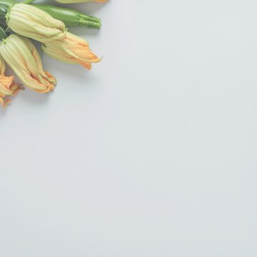 ズッキーニの花