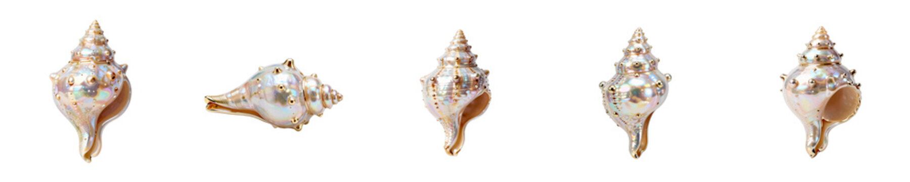 Collection of decorative conch shells adorned with golden accents on a black background