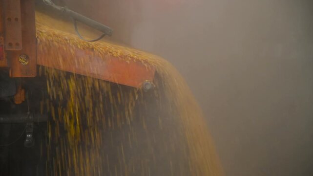 An orange grain truck pours grain at an agricultural industrial enterprise for storage or processing.