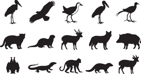Obraz premium Set of black silhouettes of tropical asian fauna, including birds, mammals, and a lizard, with identifying text labels on a white background