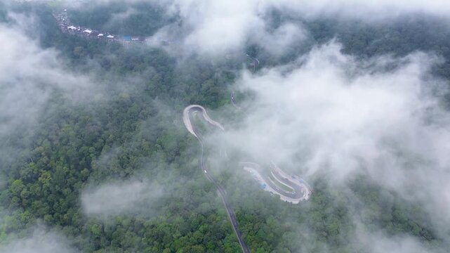 Misty Mountain Forest with Winding Road Aerial Drone View