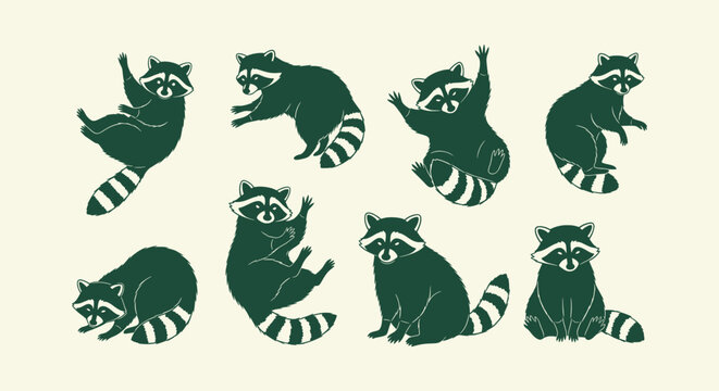 Set of Cute Raccoon Vector Illustrations Isolated on Beige Background for Graphic Design Projects