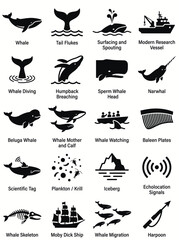 Whale Icons Vector Set Ocean Marine Biology Whaling Research Collection © BeNeed Vactory