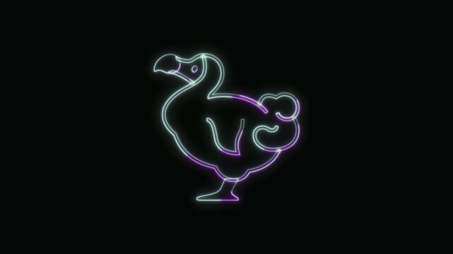  Dodo Animal Icon Neon Seamless Loop 4K with Black Background Animated Promotional Typography for Video Editing