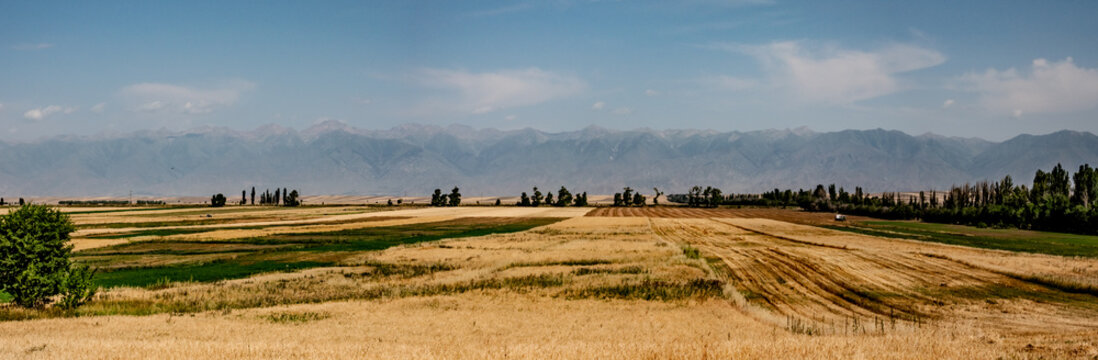 Harvested agricultural fields and Kungey Alatau mountains Kyrgyzstan