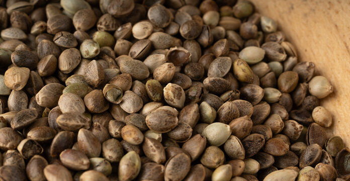 Hemp seeds pile texture background