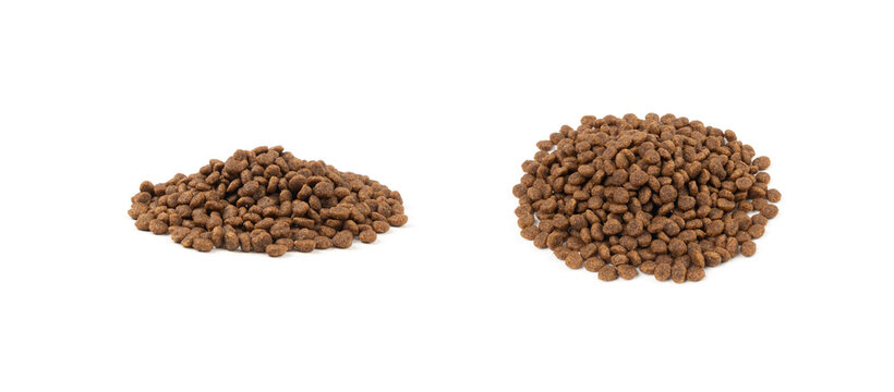 Dry pet food, dog kibble pile, puppy pellets, small canine protein croquette meal, animal food