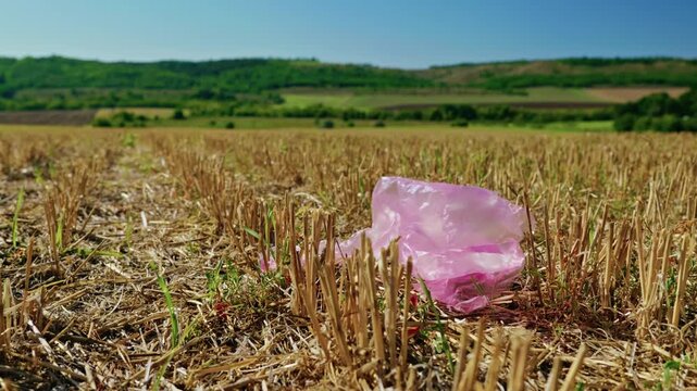 A pink plastic bag lies discarded in dry field stubble under bright daylight, captured in a low-angle close-up shot showing environmental pollution.