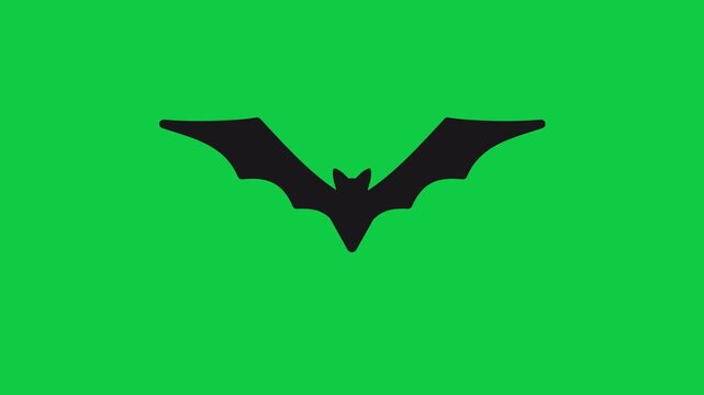 Bat Silhouette Flying Animation 4K in transparent background.