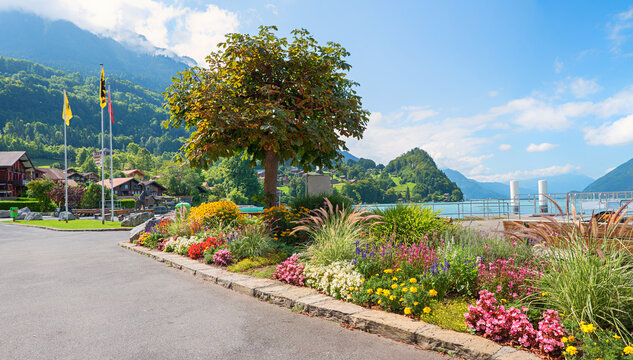 idyllic lakeside promenade Brienzersee, tourist resort Iseltwald, with colorful flower bed