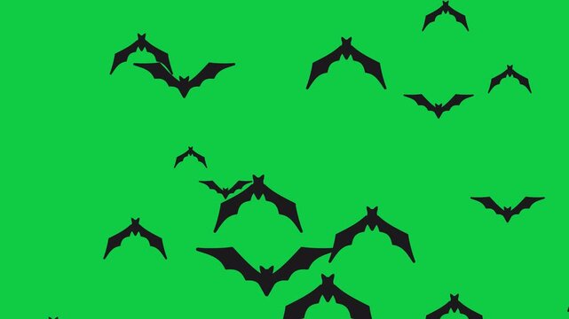 A Colony of Bats Flying Overlay 4K Animation with Alpha Channel, Halloween Spooky Bat Swarm.