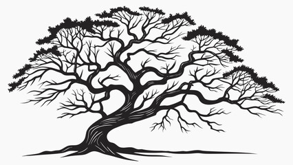 Fototapeta premium Spreading old tree silhouette with twisted branches nature graphic isolated tree black white