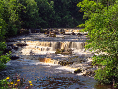 Der Ure Fluss an den Aysgarth Falls bei Leyburn