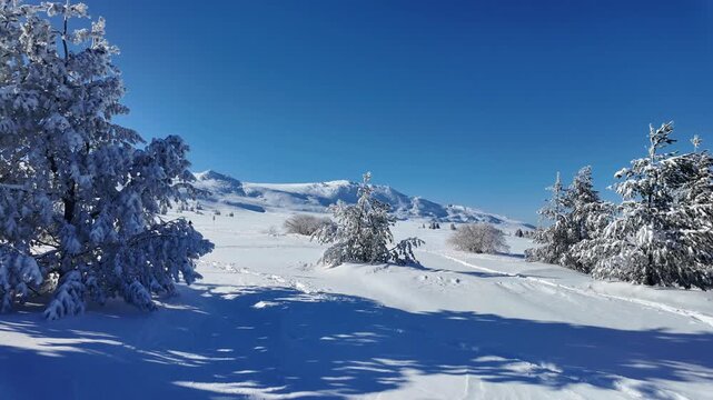 Amazing Winter landscape of Vitosha Mountain, Sofia City Region, Bulgaria
