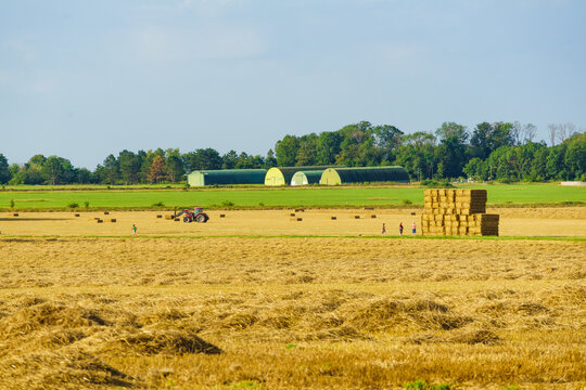 Farm field shows hay bales, tractor, and storage buildings under a clear sky during harvest season in rural area