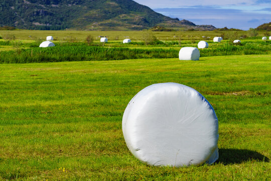 Bale of hay wrapped in plastic foil, Norway