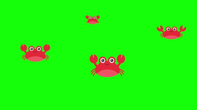 Red crab cartoon animation video.