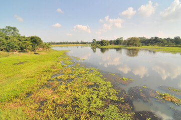 Landscape and villages on Majuli (also spelled Majoli)  the largest river island in Assam and the world's largest inland river island, a state in Northeast India.  © robnaw