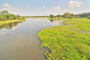 Landscape and villages on Majuli (also spelled Majoli)  the largest river island in Assam and the world's largest inland river island, a state in Northeast India.  © robnaw