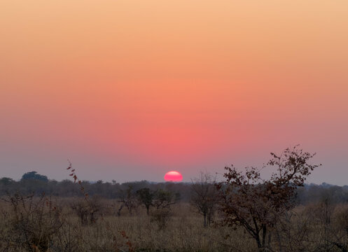 View of Hwange National Park at sunset with dry savanna vegetation and silhouetted trees under a vibrant orange and pink sky in Hwange, Matabeleland North Pr, Zimbabwe.