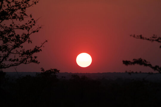 View of the sun setting over the horizon at Hwange National Park with silhouettes of acacia trees in the foreground, Hwange, Matabeleland North Province, Zimbabwe.