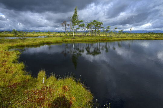 Soomaa National Park (Estonian: Soomaa rahvuspark) is a national park in south-western Estonia. Soomaa National Park is a Wilderness Capital of Estonia. Soomaa translates as Land of Mires.