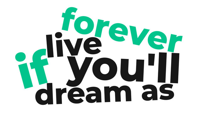 Typography Motion Graphics Animation
