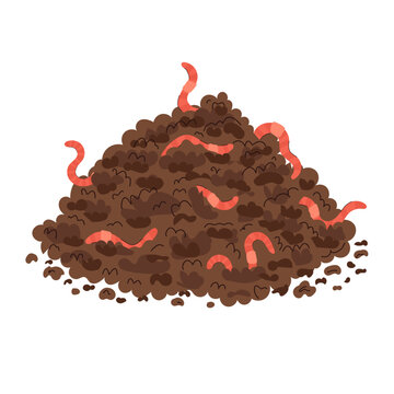 Compost pile with earthworms features rich brown organic soil and several red segmented worms crawling through the decomposing material. The natural recycling composition represents vermicomposting.