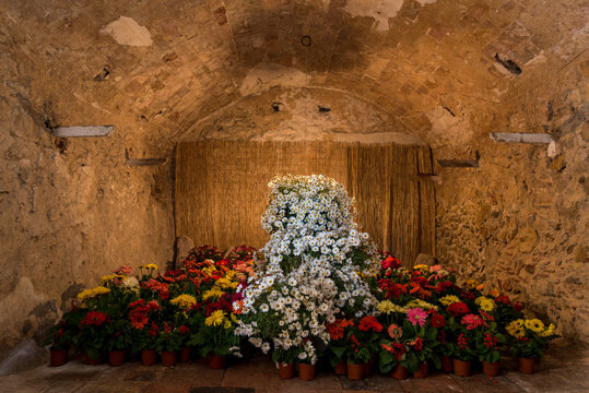 Bl&uuml;tenmeer Kunstprojekt mit bunten Blumen im Stadtbild von Girona Katalonien Spanien