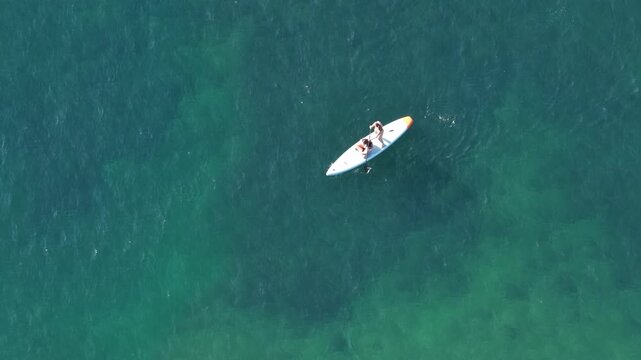 Aerial view of paddleboarders at Plage du Pont de l Aube, France.