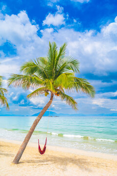 hammock for relaxing under a palm trees on beach by the sea on a tropical island at summer resort
