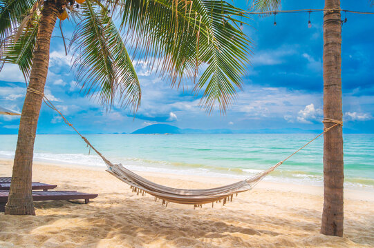 hammock for relaxing under a palm trees on a sandy beach by the sea on a tropical island at a summer resort. The concept of travel and leisure
