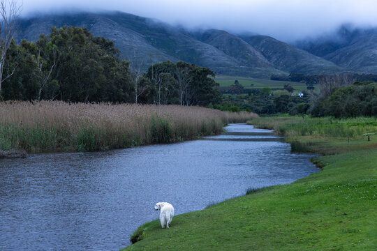Klein River and Klein Mountains, Stanford, South Africa on a misty dark morning