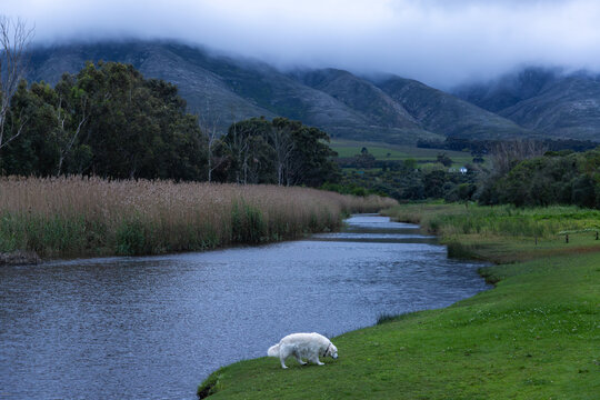 Klein River and Klein Mountains, Stanford, South Africa on a misty dark morning
