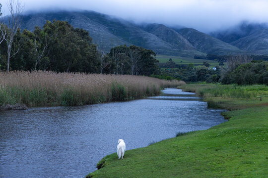 Klein River and Klein Mountains, Stanford, South Africa on a misty dark morning