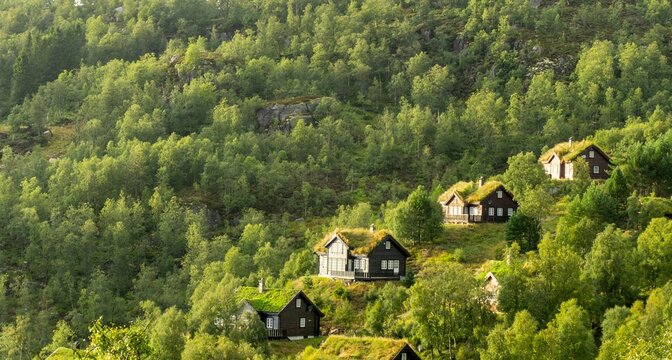 Wooden houses with grass roofs dotting a lush green mountain forest in Norway