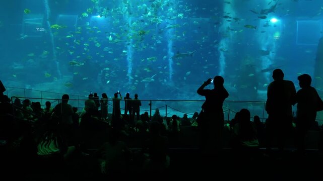 Silhouettes of visitors observing massive underwater exhibits in a large public aquarium.