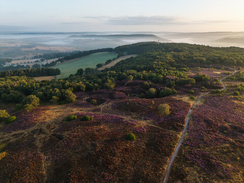 Beautiful drone landscape image over Stanton Moor in Summer Heather sunrise