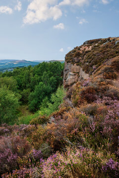 Stunning Peak District landscape from Surprise View with vibrant heather and dappled sunlight over the hills