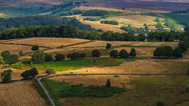 Stunning Peak District landscape from Surprise View with vibrant heather and dappled sunlight over the hills