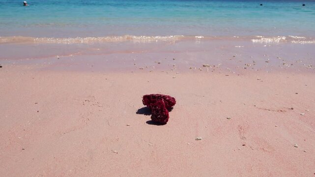 Pink Beach Labuan Bajo