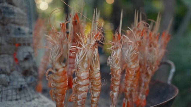 Fresh tiger prawns roasting on wooden skewers over open grill fire.
