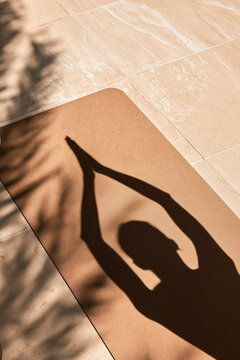 Shadow of a person practicing yoga stretches across a brown mat in warm sunlight beside soft palm leaf shadows.
