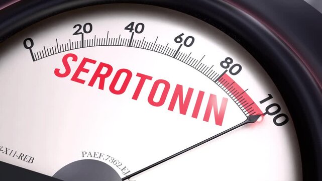 Serotonin meter showing big values of serotonin. Increasing and high levels of serotonin. Maximum and 100% of serotonin