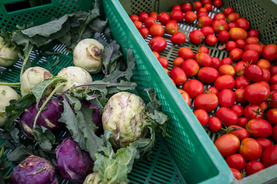 frischer Kohlrabi und Kirschtomaten
